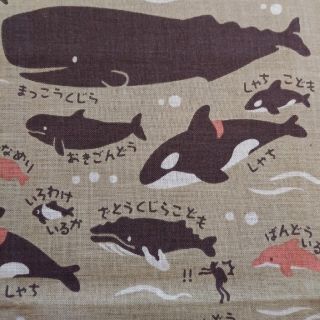 日本手拭い　クジラ図鑑🐳(タオル/バス用品)