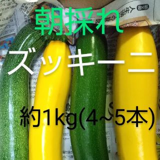 ズッキーニ(約1kg  4~5本)(野菜)