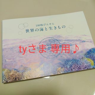 フェリシモ(FELISSIMO)のフェリシモ 100枚便箋「世界の海と生きもの」(ノート/メモ帳/ふせん)