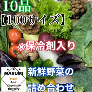 10品　野菜詰め合わせ　野菜セット　八百屋さんおまかせ(野菜)