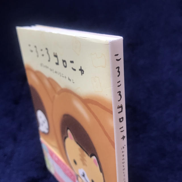 サンエックス(サンエックス)のころころコロニャ ぱんやのひとみしりニャねこ エンタメ/ホビーの本(文学/小説)の商品写真