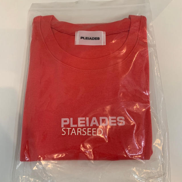 PLEIADES 2019ss Wake up tee