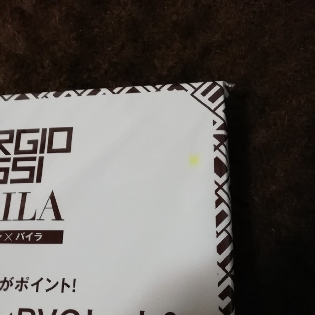 Sergio Rossi(セルジオロッシ)のBAILA バイラ 6月号 付録　Sergio RossiのPVCトート&ポーチ レディースのバッグ(トートバッグ)の商品写真