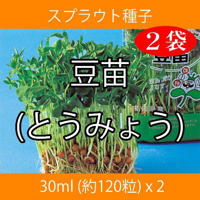 スプラウト種子 S-07 豆苗(とうみょう) 30ml 約120粒 x 2袋 食品/飲料/酒の食品(野菜)の商品写真