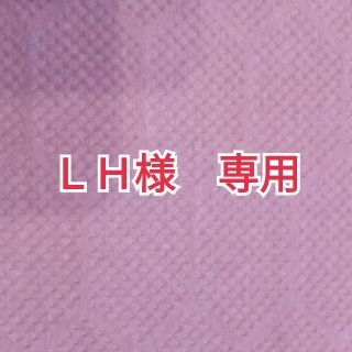 ミツビシデンキ(三菱電機)のＬＨ様専用　三菱電機　電池　単4（単四）乾電池　30本(その他)