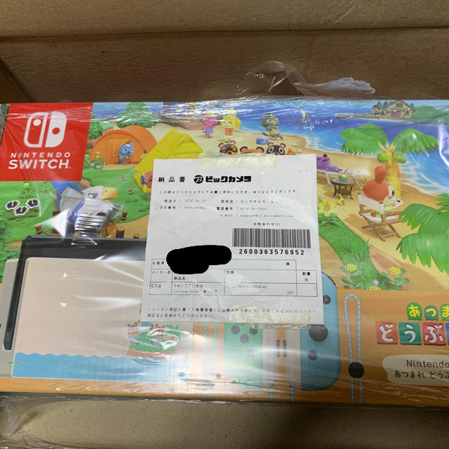 Nintendo Switch どうぶつの森セット