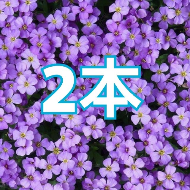 2本