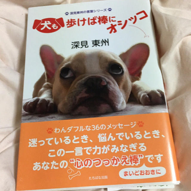 犬も歩けば棒にオシッコ／深見東州 エンタメ/ホビーの本(ノンフィクション/教養)の商品写真