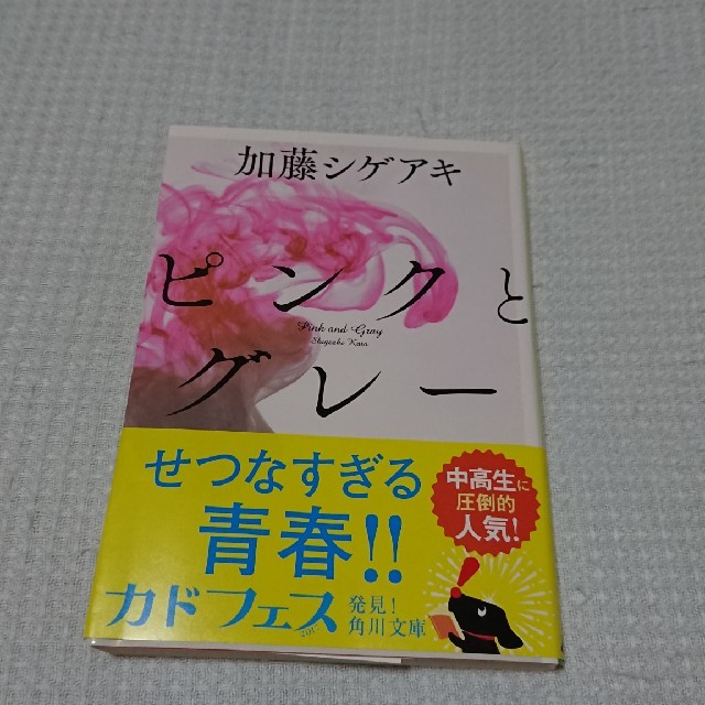NEWS(ニュース)のピンクとグレ－ エンタメ/ホビーの本(文学/小説)の商品写真