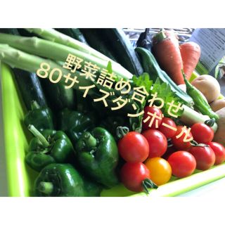 無農薬！夏野菜詰め合わせ！産直市場！採れたて！要望OK！(野菜)