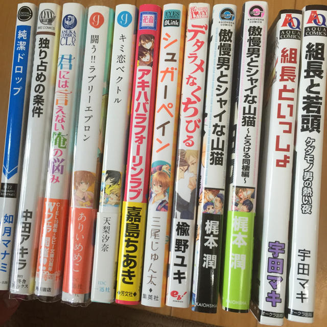 本新品セット  専用ページ漫画