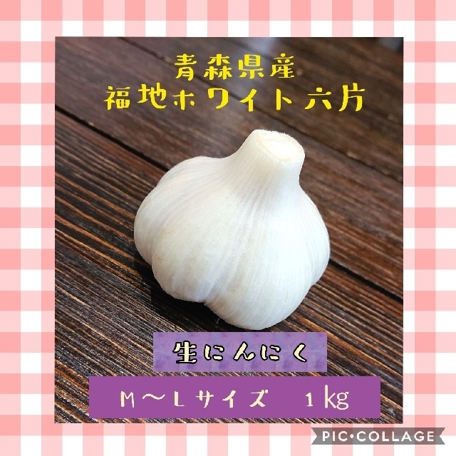 青森県産 福地ホワイト六片 生にんにく M～Lサイズ 1㎏ 食品/飲料/酒の食品(野菜)の商品写真