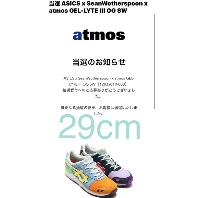 asics - ASICS  SeanWotherspoon atmos アトモス 29 cm