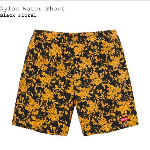 supreme nylon water short L 水着 supreme nylon water short L 水着