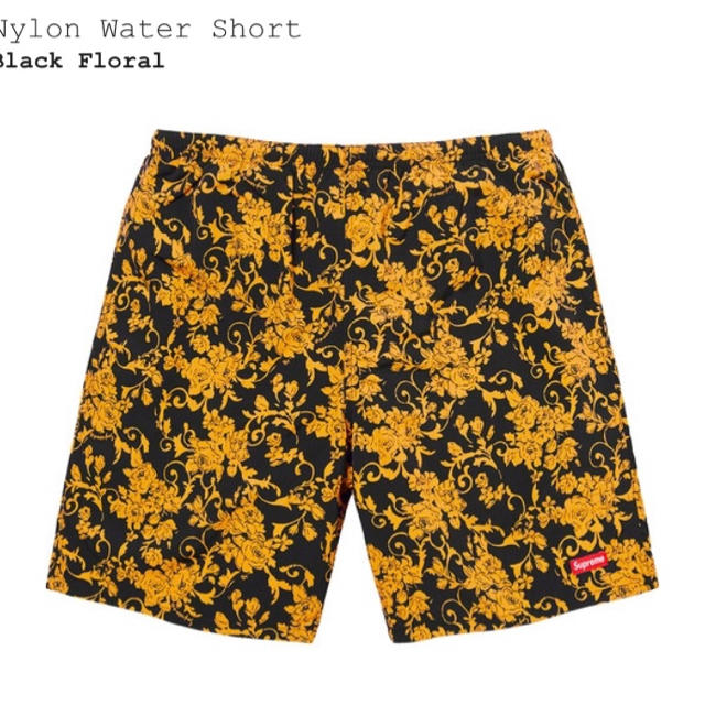 Supreme Nylon Water Short海パン