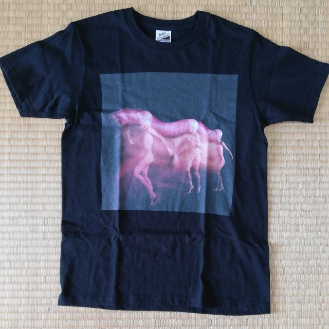 スピッツ ジャケットTシャツ ハヤブサ 黒XSの通販 by cbjim's スピッツ ジャケットTシャツ ハヤブサ 黒XSの通販 by cbjim's