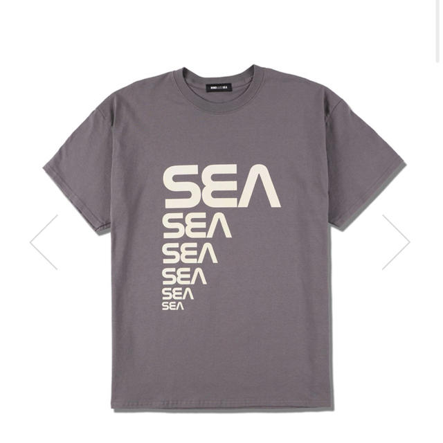 WIND AND SEA (CSM) T-SHIRT / GRAYトップス