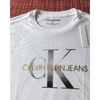 カルバンクライン(Calvin Klein)の訳あり レアM Calvin Klein カルバンクライン メンズロゴTシャツ (Tシャツ/カットソー(半袖/袖なし))