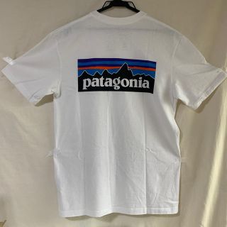 パタゴニア(patagonia)のpatagonia Tシャツ(Tシャツ/カットソー(半袖/袖なし))