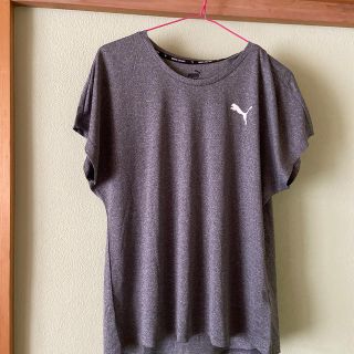 プーマ(PUMA)の新品PUMAティシャツ(Tシャツ/カットソー(半袖/袖なし))