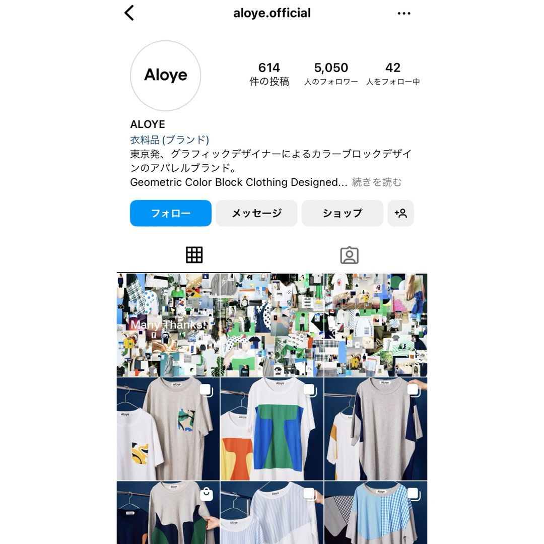 ALOYE(アロイ)の【美品】Aloye アロイ Tシャツ unisex ユニセックス メンズのトップス(Tシャツ/カットソー(半袖/袖なし))の商品写真