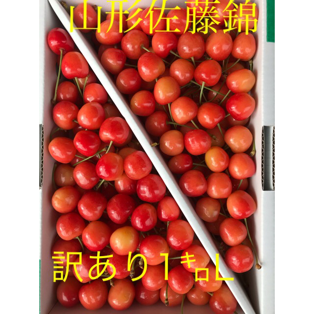 訳あり　さくらんぼ山形県東根市　佐藤錦　1kgばら　L以上 食品/飲料/酒の食品(野菜)の商品写真