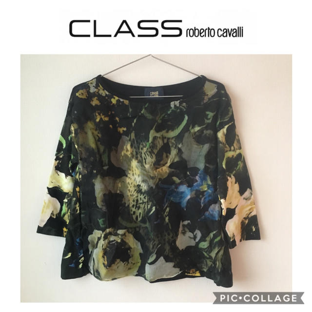 Roberto Cavalli(ロベルトカヴァリ)のロベルトカヴァリ　class トップス　ボタニカル フラワー　オーガンジー レディースのトップス(シャツ/ブラウス(長袖/七分))の商品写真