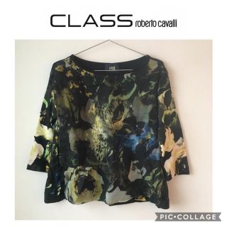 ロベルトカヴァリ(Roberto Cavalli)のロベルトカヴァリ　class トップス　ボタニカル フラワー　オーガンジー(シャツ/ブラウス(長袖/七分))