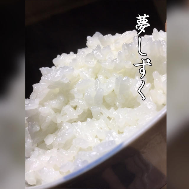 米　即日発送】佐賀県産　特A　白米20kg　夢しずく　米/穀物