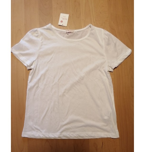 earth music & ecology(アースミュージックアンドエコロジー)のearth 白Tシャツ　フリーサイズ レディースのトップス(Tシャツ(半袖/袖なし))の商品写真
