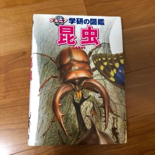 ジュニア 学研の図鑑 昆虫(絵本/児童書)