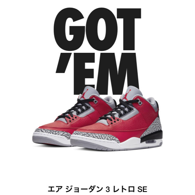 AIR JORDAN 3 RETRO SE  28.5cm