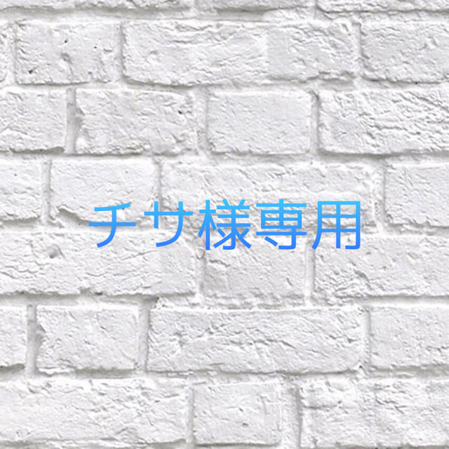 チサ様専用
