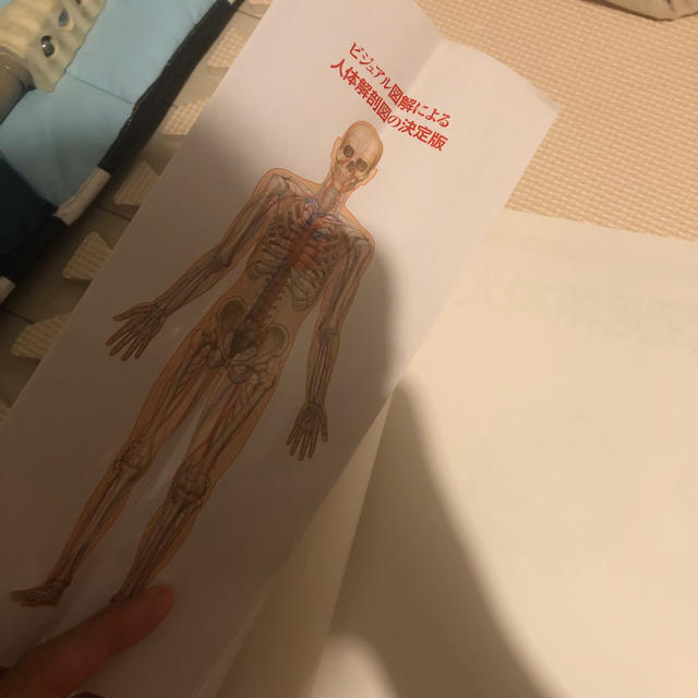 人体解剖図 エンタメ/ホビーの本(健康/医学)の商品写真
