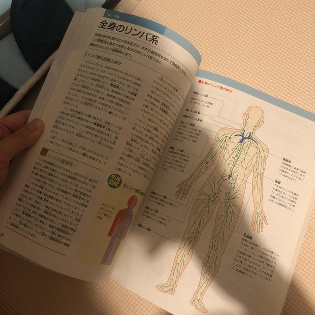 人体解剖図 エンタメ/ホビーの本(健康/医学)の商品写真