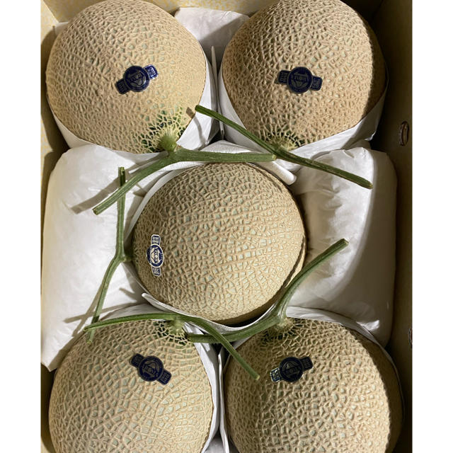 静岡　高級アールスメロン　白5玉　隔離栽培　アローマ