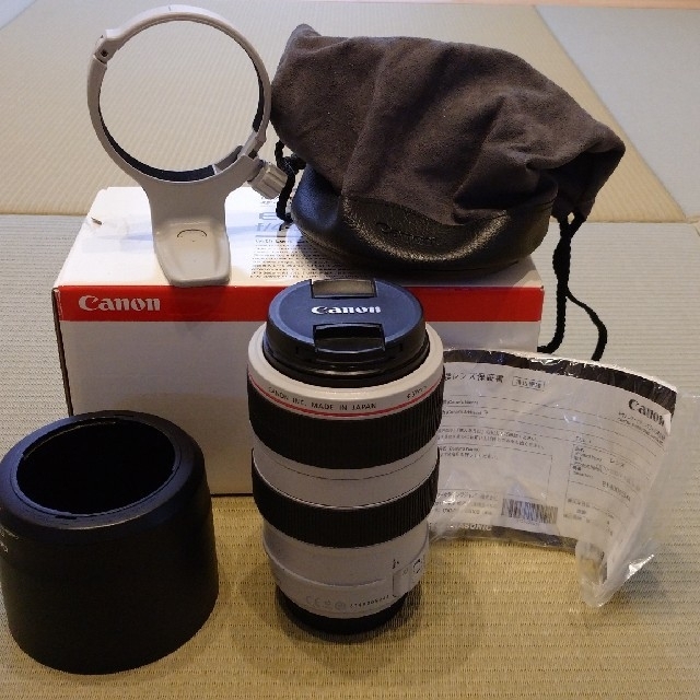 Canon - ef70-300mm f4-5.6l is usm
