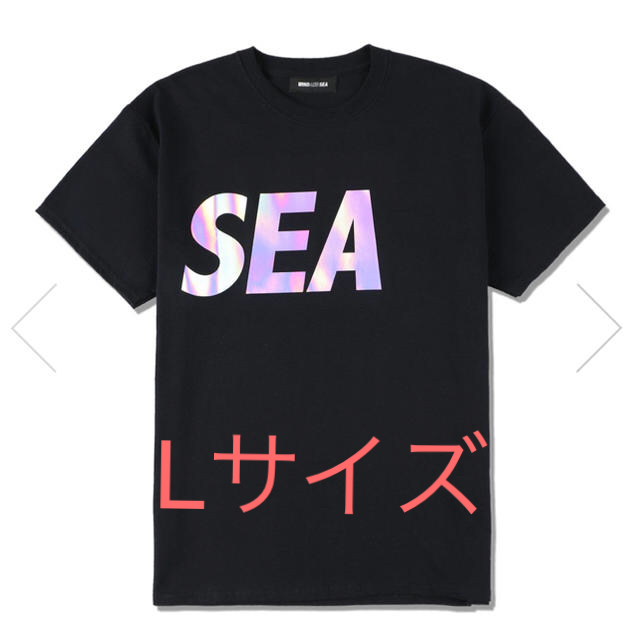 WIND AND SEA (iridescent) T-SHIRT﻿ WDS