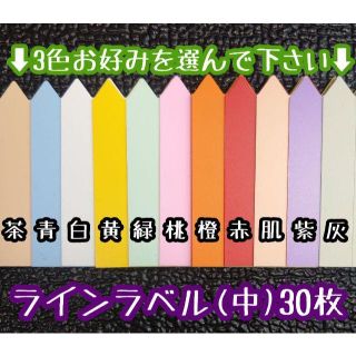 ◎30枚◎（中）選べるカラー ラインラベル 園芸ラベル カラーラベル(その他)