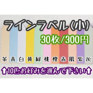 ◎30枚◎(小)選べるカラー ラインラベル 園芸ラベル カラーラベル(その他)