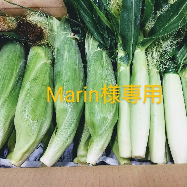 🌽🌽訳あり商品とうもろこし🌽🌽 食品/飲料/酒の食品(野菜)の商品写真