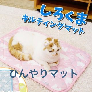 ひんやりマット　しろくま　グリーン(猫)