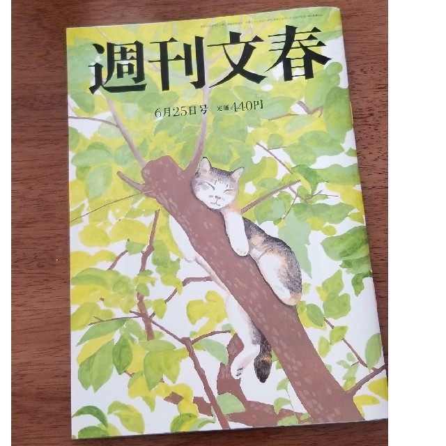 文藝春秋(ブンゲイシュンジュウ)の週刊文春 2020年 6/25号 エンタメ/ホビーの雑誌(ニュース/総合)の商品写真