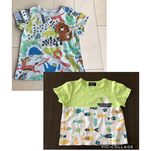 Bit'z(ビッツ)の美品　ビッツ　■ アニマル　Tシャツ　ライオン　80 キッズ/ベビー/マタニティのベビー服(~85cm)(Ｔシャツ)の商品写真