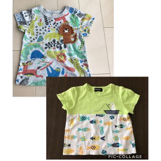 ビッツ(Bit'z)の美品　ビッツ　■ アニマル　Tシャツ　ライオン　80(Ｔシャツ)