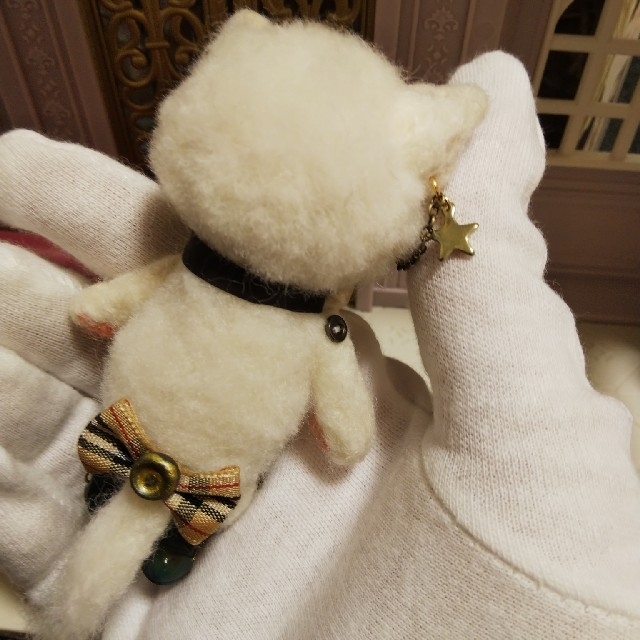 【星の白猫執事～グリーンアイ】 羊毛 ブライス プチブライス  リカちゃん ハンドメイドのぬいぐるみ/人形(ぬいぐるみ)の商品写真