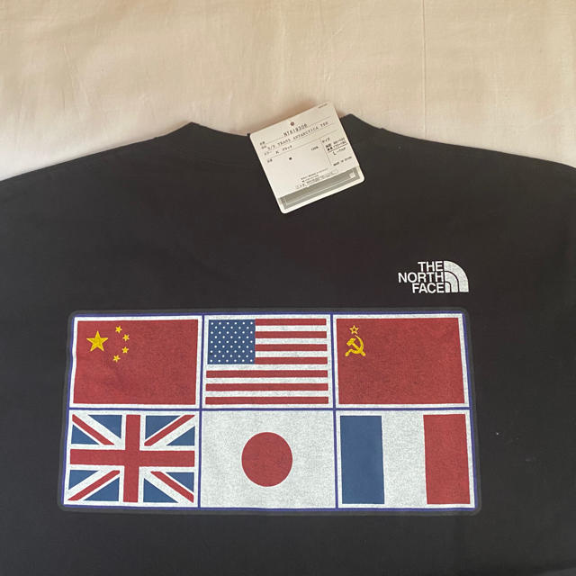 THE NORTH FACE(ザノースフェイス)のTHE NORTH FACE S/S TRANS ANTARCTICA TEE メンズのトップス(Tシャツ/カットソー(半袖/袖なし))の商品写真