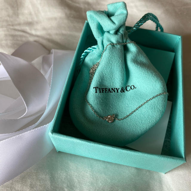 Tiffany&Co. ティファニー　バイザヤードネックレス