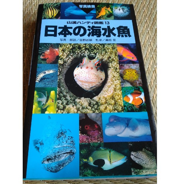 日本の海水魚の通販 By リプトン S Shop ラクマ