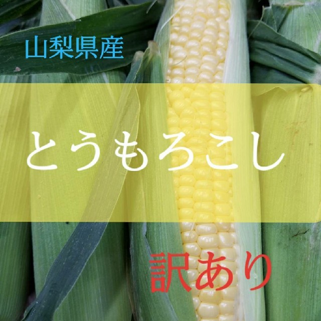 🌽訳ありとうもろこし山梨県産🌽 食品/飲料/酒の食品(野菜)の商品写真